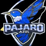 PAJARO AZUL